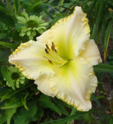 k-DSC00593.JPG