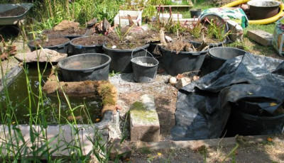 Carnivorenareal-Baustelle.jpg