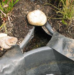 Lucke_mit-Sphagnumsumpf4.jpg