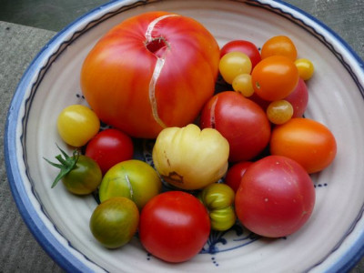 ernte_130818.jpg