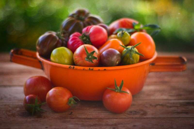 Tomaten_1_von_1_bearbeitet_fsm_resize.jpg