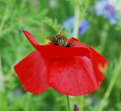 C8142a_Small.jpg