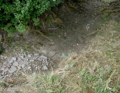 wiesenbach-ausgetrocknet-25.jpg