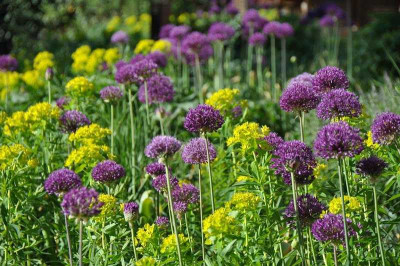 GMH_Gartenkolumne_2013_01.jpg