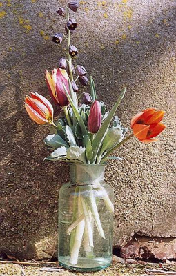 bouquet_gavota_whitt.jpg