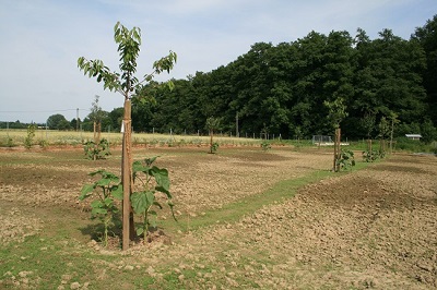17.07_007_-_Kopie.JPG