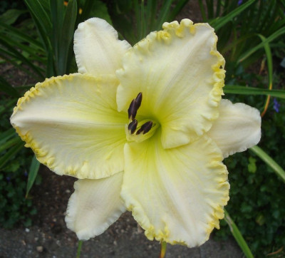 k-DSC00686.JPG