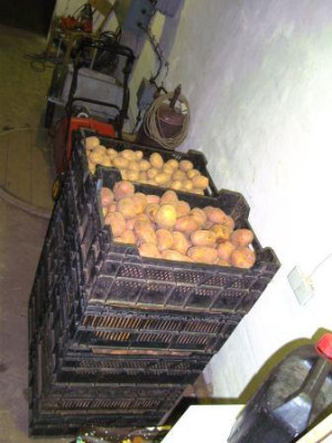 Handlager.JPG