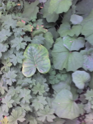 30-08-13_1659.1.jpg
