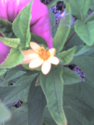 30-08-13_1655.1.jpg