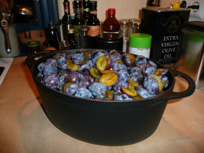ku776che_130901.jpg