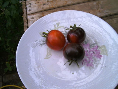 BILD3937.JPG