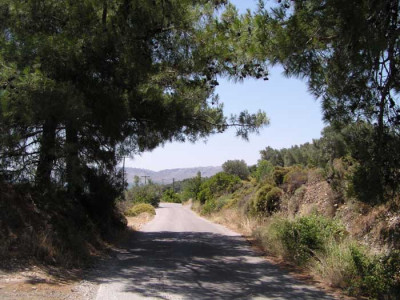 a_rhodos_14.jpg
