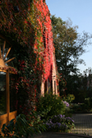 IMG_0378-2008_kl.jpg