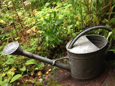 waldgartendeko_20130913_zg.jpg