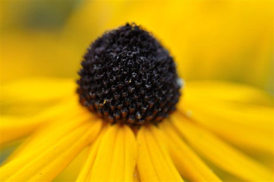 DSC_0114b_Small.jpg