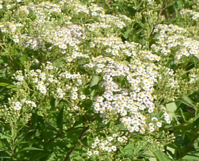 Unbenannt-2-Sep2113.jpg