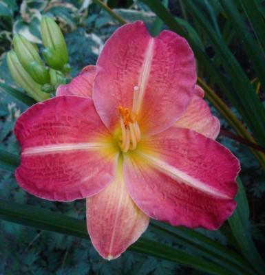 k-DSC00726.JPG