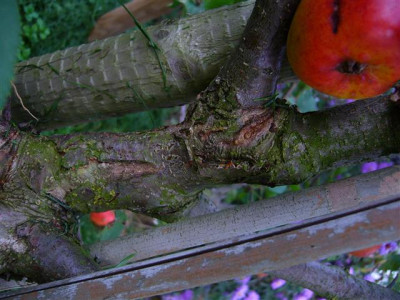 P1020528_Small.JPG