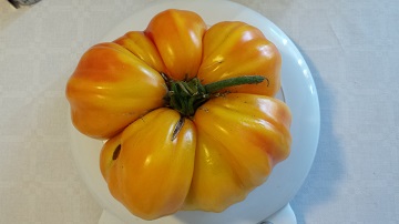 20130924_084238_1_klein.jpg