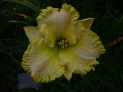 P1020518_Small.JPG