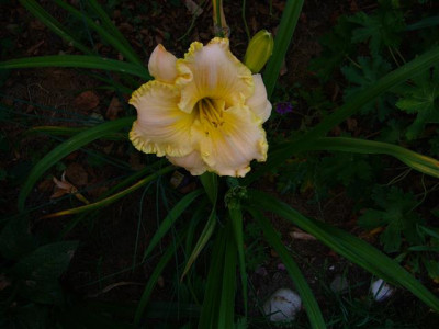P1020447_Small.JPG