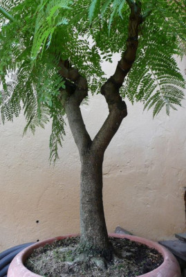tg_130927_2.jpg