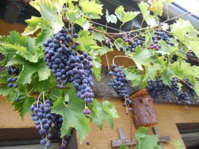 Ende_septrem_008.JPG