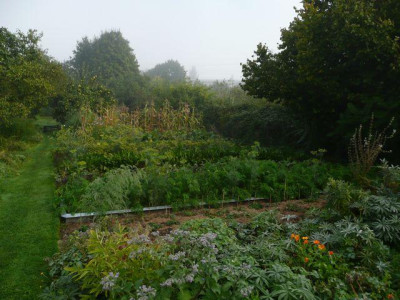 tg_130929_01.jpg