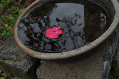 Flammenkuppel_und_H2O.jpg