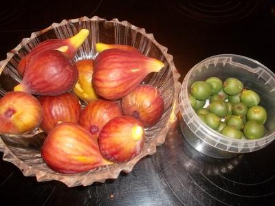 Tropifrutti.jpg