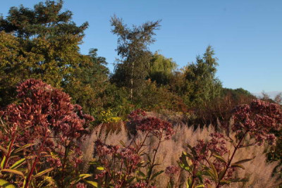 2013-10-02_08-15-38_-_0058.JPG