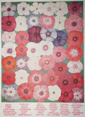 Tafel_1920.jpg