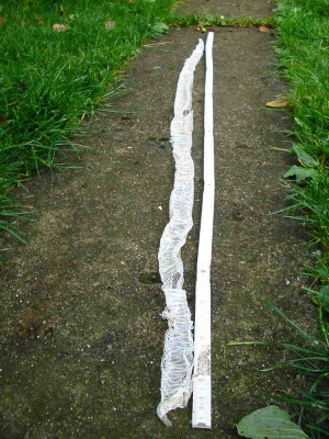 Schlangenhemd_3.jpg