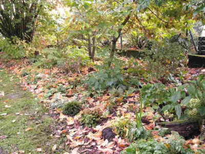 Waldgarten_Oktober_0_1024x768.jpg
