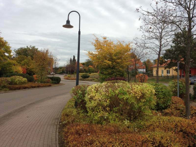 hausmeisterschnitt_ue_201310_zg.jpg