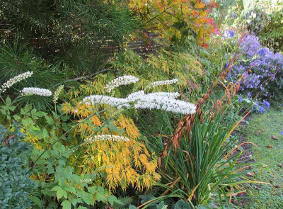 GP_E_2013-10-16_a.jpg