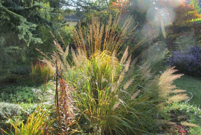 GP_Impr._2013-10-15_a.jpg