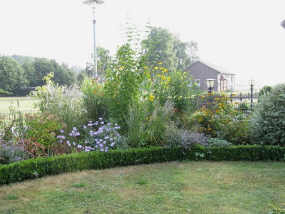 IMG_0505_Gartenpur.jpg