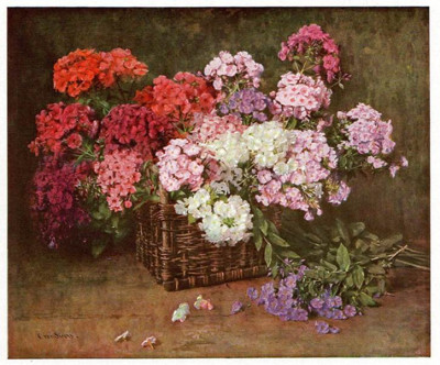 Korb_voll_Phlox.jpg
