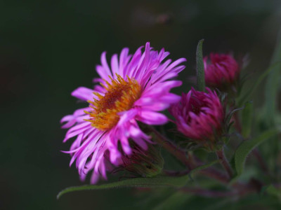 PA210227.JPG
