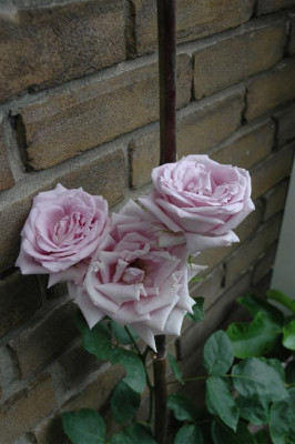 2005B001.JPG