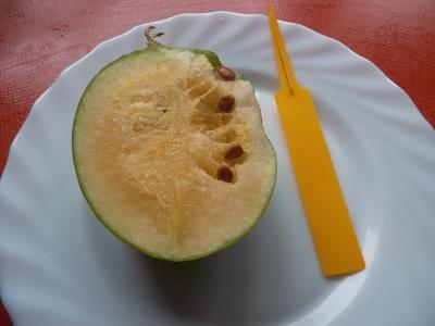 WaMe2013.jpg