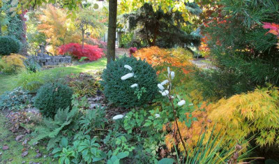 GP_E_2013-10-20_a.jpg