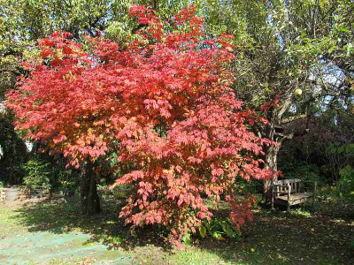 GP_E_2013-10-20_e.jpg