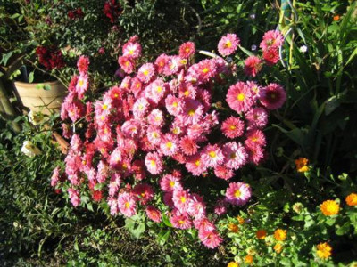 ceddie_mason_Individuell_3.jpg
