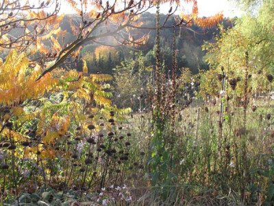 herbst_suedbeet13_01.jpg