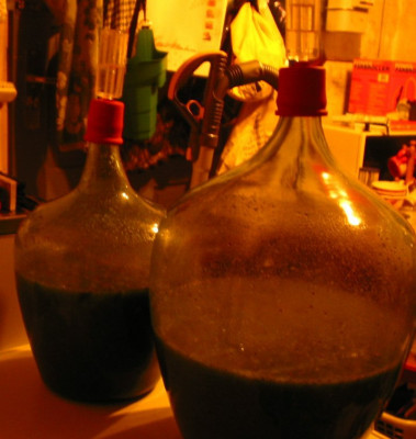 Kiwi-Wein_1.jpg