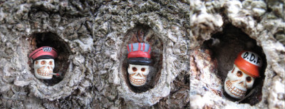 astloch_totenkopf3.jpg