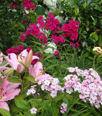 k-DSC05802.JPG
